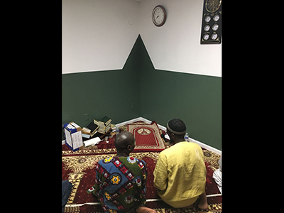Image Link